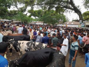 নীলফামারীতে পশুহাটে অতিরিক্ত হাসিল আদায় ইজারাদারকে ভ্রাম্যমাণ আদালত জরিমানা 2 WhatsApp Image 2026 05 26 at 9.24.59 AM